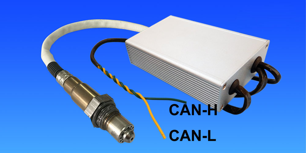 ALM-CAN